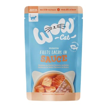 Saumon en sauce