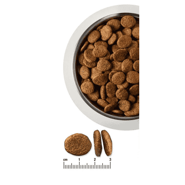 Renal Dog Dry