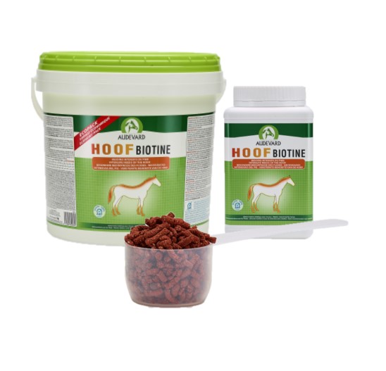 Hoof Biotine