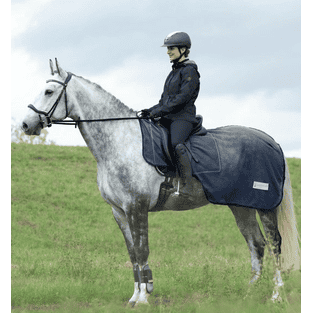 Couverture d'équitation anti-mouches Comfort - bleu