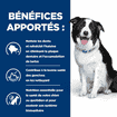 Canine t/d Detal Care