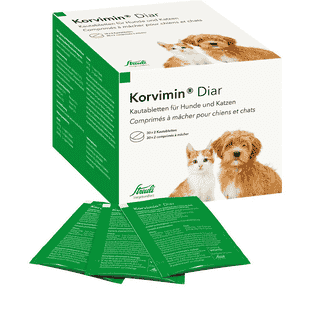 Korvimin Diar