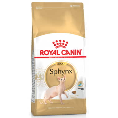 Sphynx