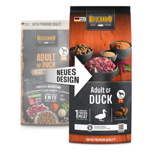 Adult GF Duck