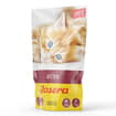 Paté Kitten