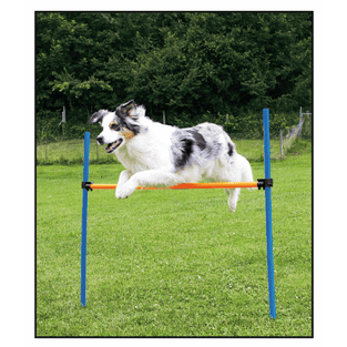 Agility Hürden Set