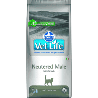 Feline Neutered Male