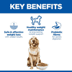 Canine Adult Perfect Weight Large Breed