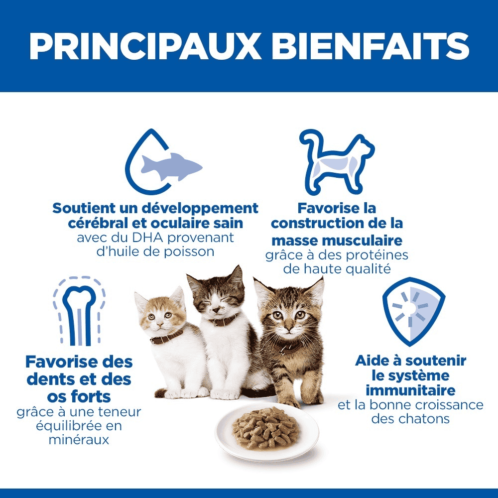 Kitten Ocean Fish - Sachets de nourriture fraîche