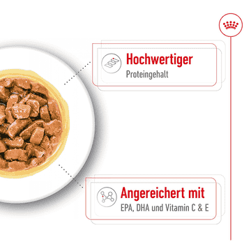 Medium Ageing Gravy - Frischebeutel