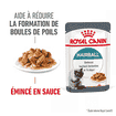 Hairball Care Gravy - Sachet