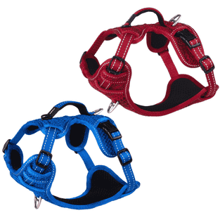 Harnais pour chien Explore Soft