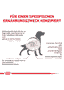 Gastrointestinal Dog
