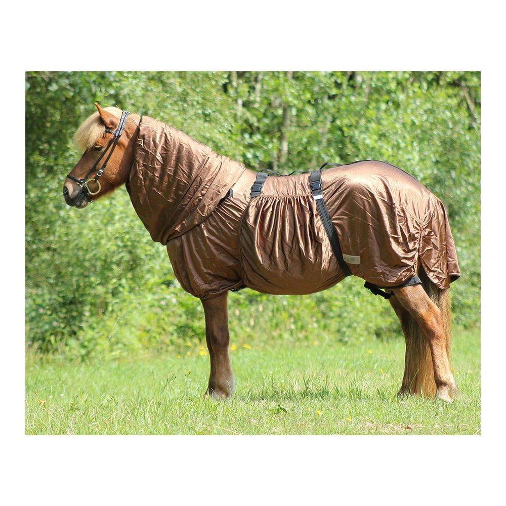 Isländer Ekzemdecke
