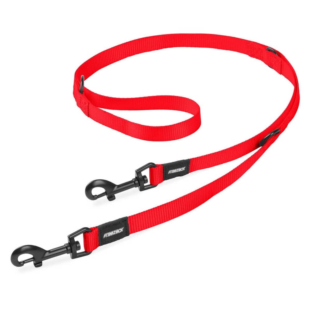 Basic Dog leash XL