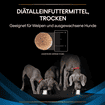 CANINE DRM Dermatosis