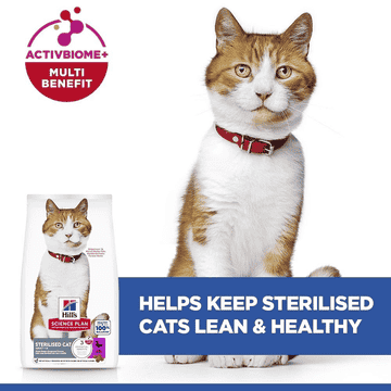 Feline Sterilized Cat Duck