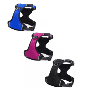 Mountain Soi Harnais XL