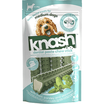 Dental Paste Chew Stick with mint