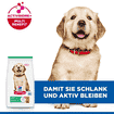 Puppy Large Breed