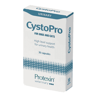 CystoPro