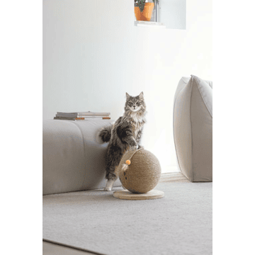 Kratzball Balty