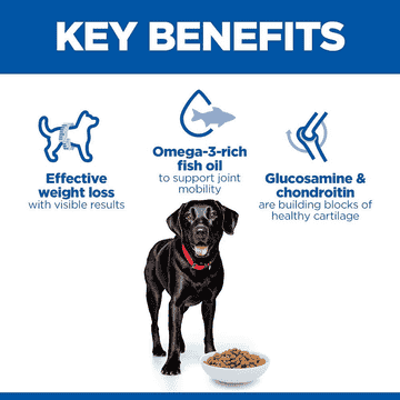 Canine Perfect Weight + Active Mobility Large Breed