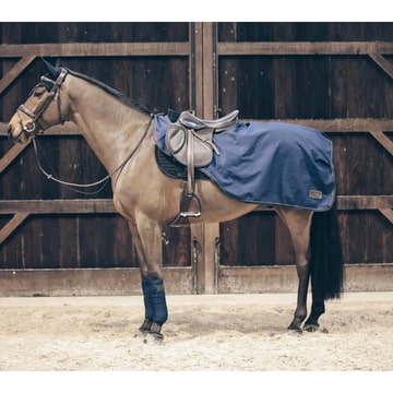 Riding Rug all Weather 160 g