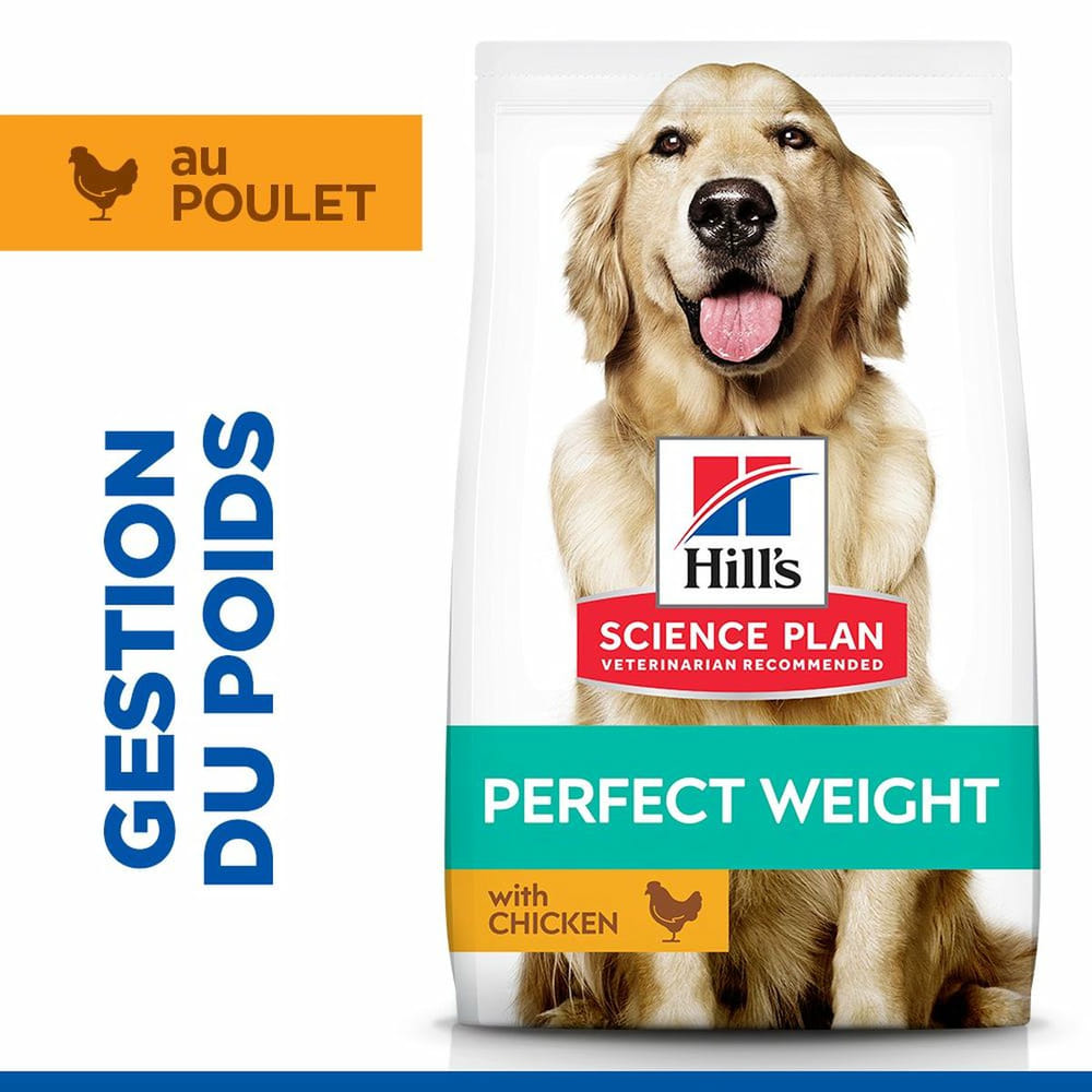 Canine Adult Perfect Weight Large Breed