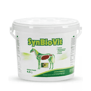 SynBioVit