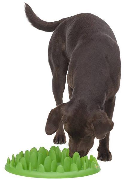 Green Slow Dog Feeder