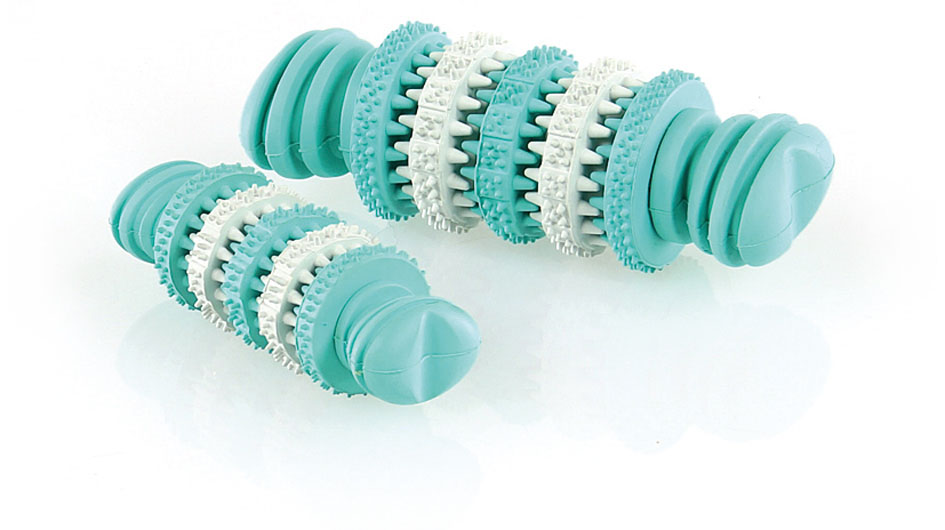 Os dental mint