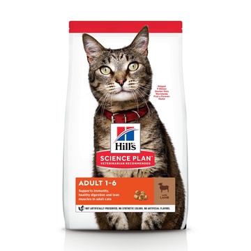 Feline Adult with Lamb