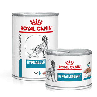Hypoallergenic Dog - Dose