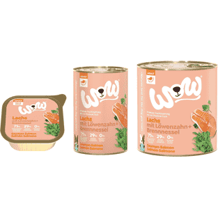 Adult, Lachs mit Löwenzahn und Brennnessel