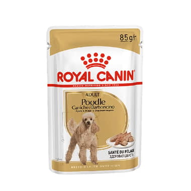 Caniche - sachet