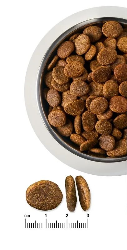 Renal Dog Dry
