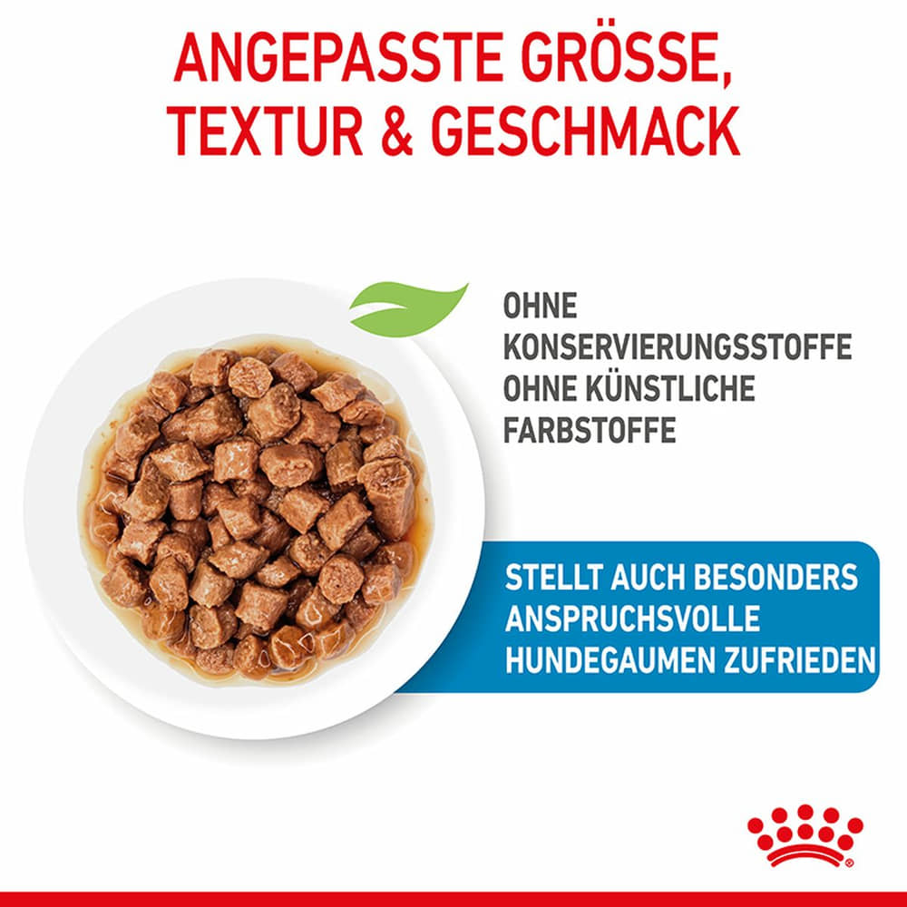 X-Small Puppy Gravy - Frischebeutel
