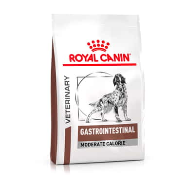 Gastrointestinal Moderate Calorie Dog