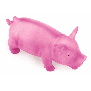 Cochon en latex