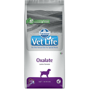 Canine Oxalate