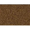 Delica Larves de moustiques