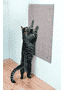 Tableau à gratter XXL