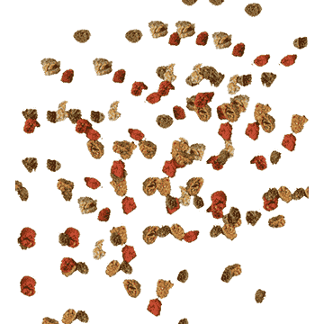 TetraMin Granules