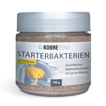 Starter bacteria