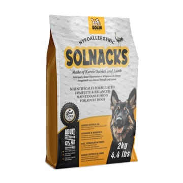 Dog Adult AllBreed Autruche