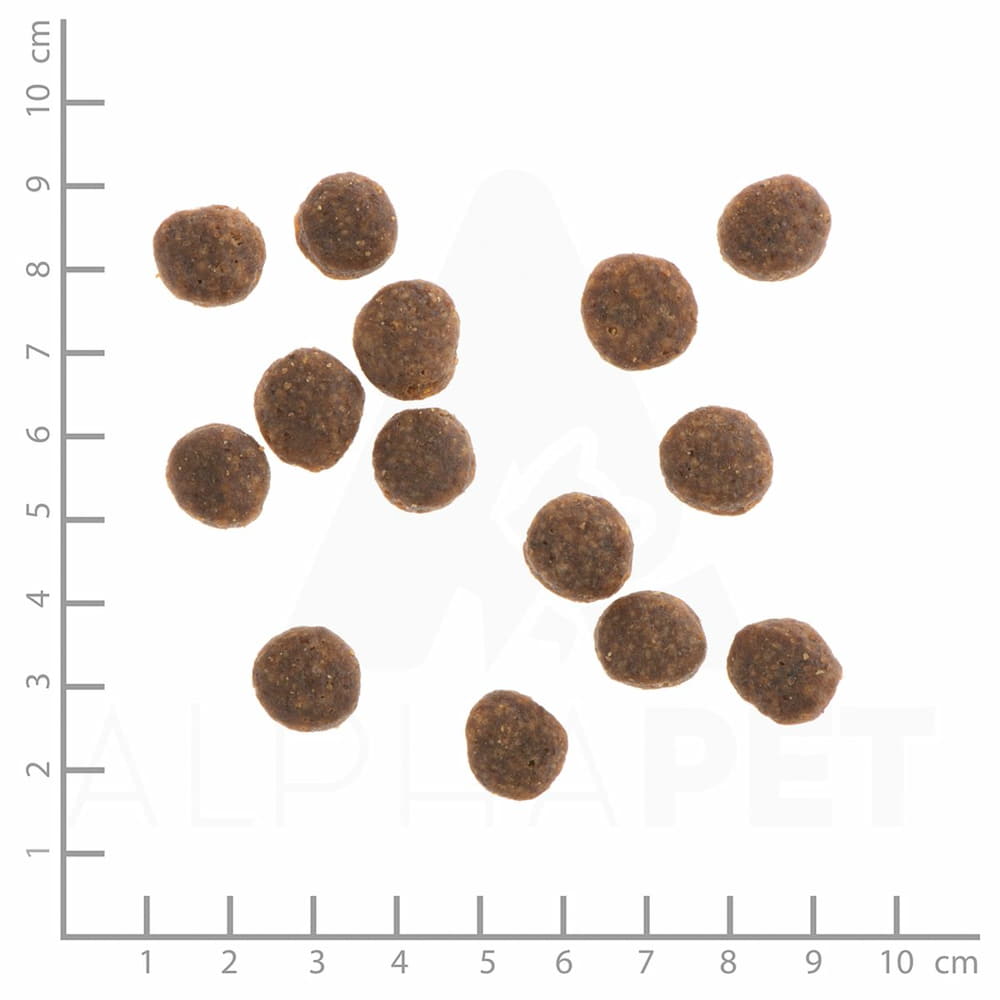 Canine Classic Adult canard avec pomme de terre