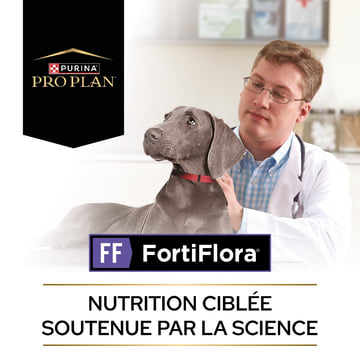 CANINE FortiFlora