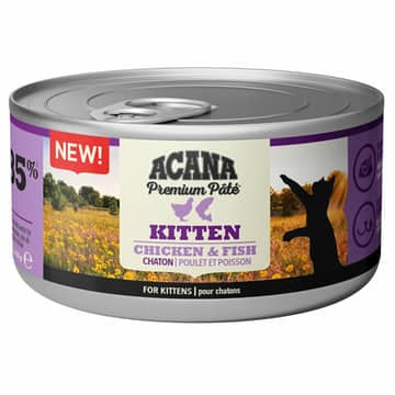 Cat Wet Premium Pâté Kitten Chicken