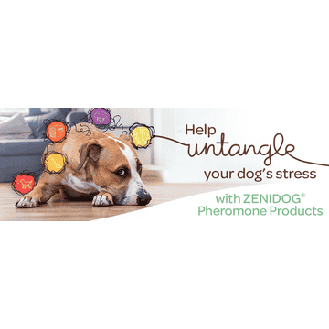 Zenidog Gel Diffuser
